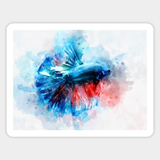 Blue and Red Betta Fish watercolor Magnet
